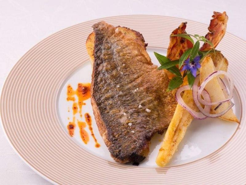 Logis Hotel Restaurant Solenca Nogaro Luaran gambar